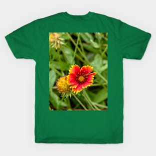 Red Flower with Yellow Petals Among Greenery T-Shirt